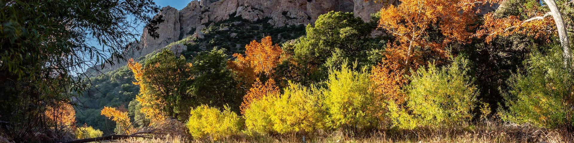 A river reflecting autumn trees, rocky riverbank, and a mountainous backdrop.