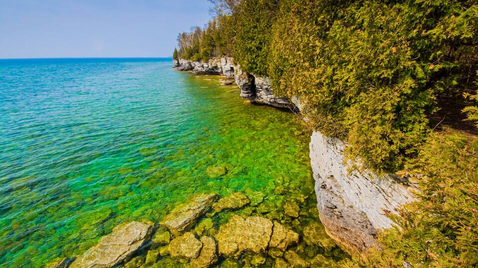 A clear coastal area with rocky shores and dense green foliage.