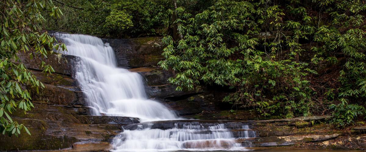 A multi-tiered waterfall surrounded by dense green foliage.