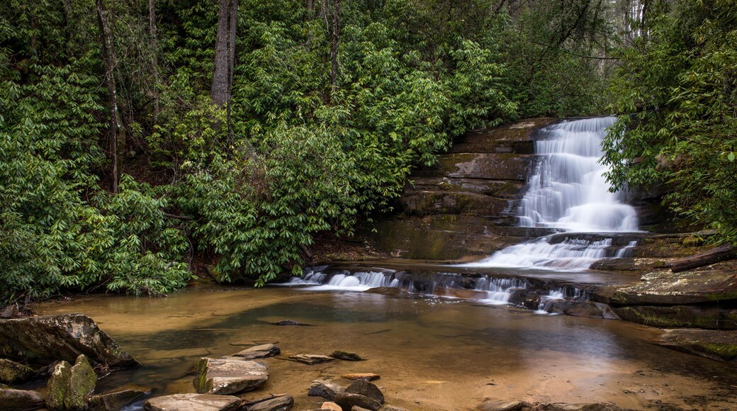 HYBPAB Stonewall Creek Falls are located in Tiger, GA just south of Clayton, GA. The falls are approximately 20 feet in height. Water levels are looking better in northern GA over the last couple of weeks.