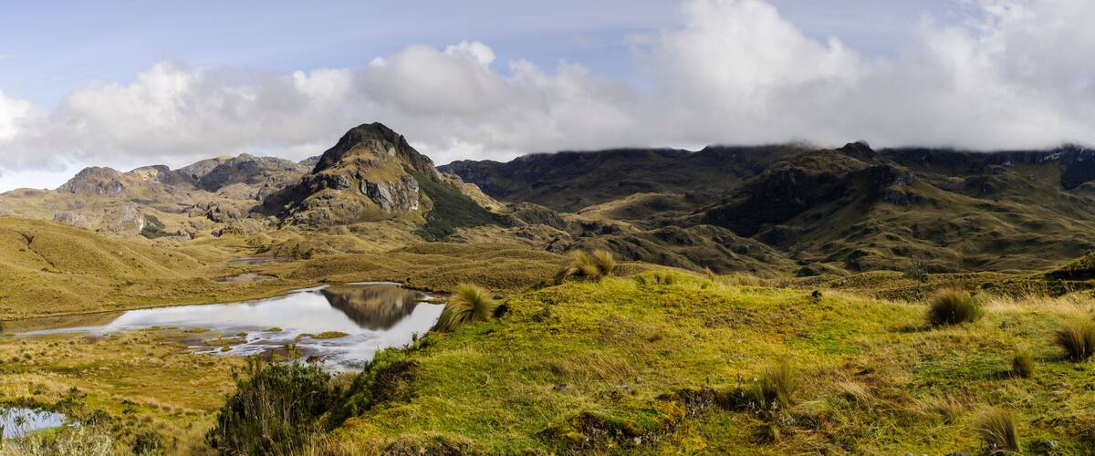 El Cajas National Park, Ecuador / El Cajas National Park in the Andes near Cuenca, Ecuador.