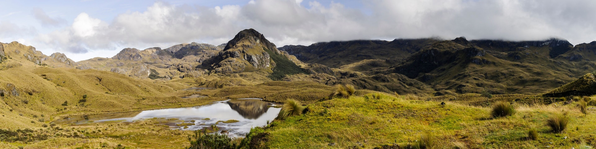 El Cajas National Park, Ecuador / El Cajas National Park in the Andes near Cuenca, Ecuador.