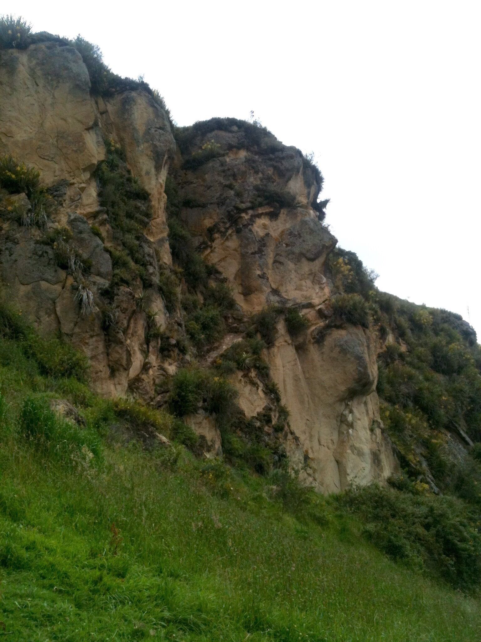 A rocky cliff with sparse vegetation.