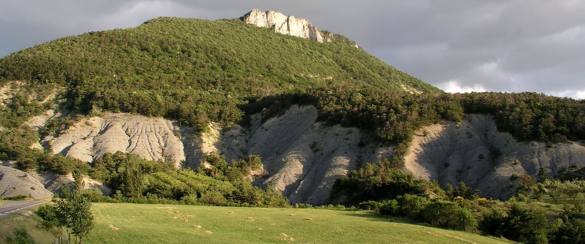 A grassy field with a rocky hill and a road in the foreground.