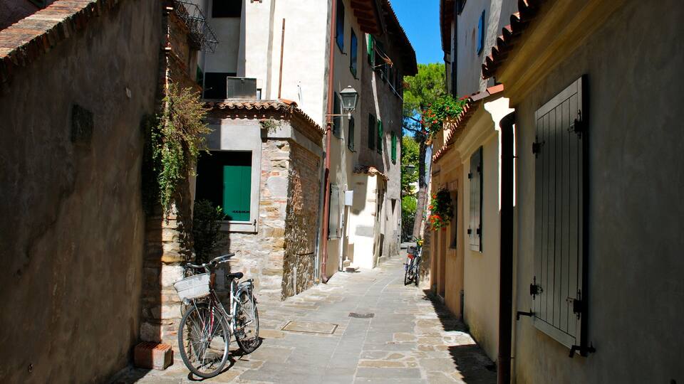 A narrow cobblestone street flanked by historic buildings with stone walls and wooden shutters.