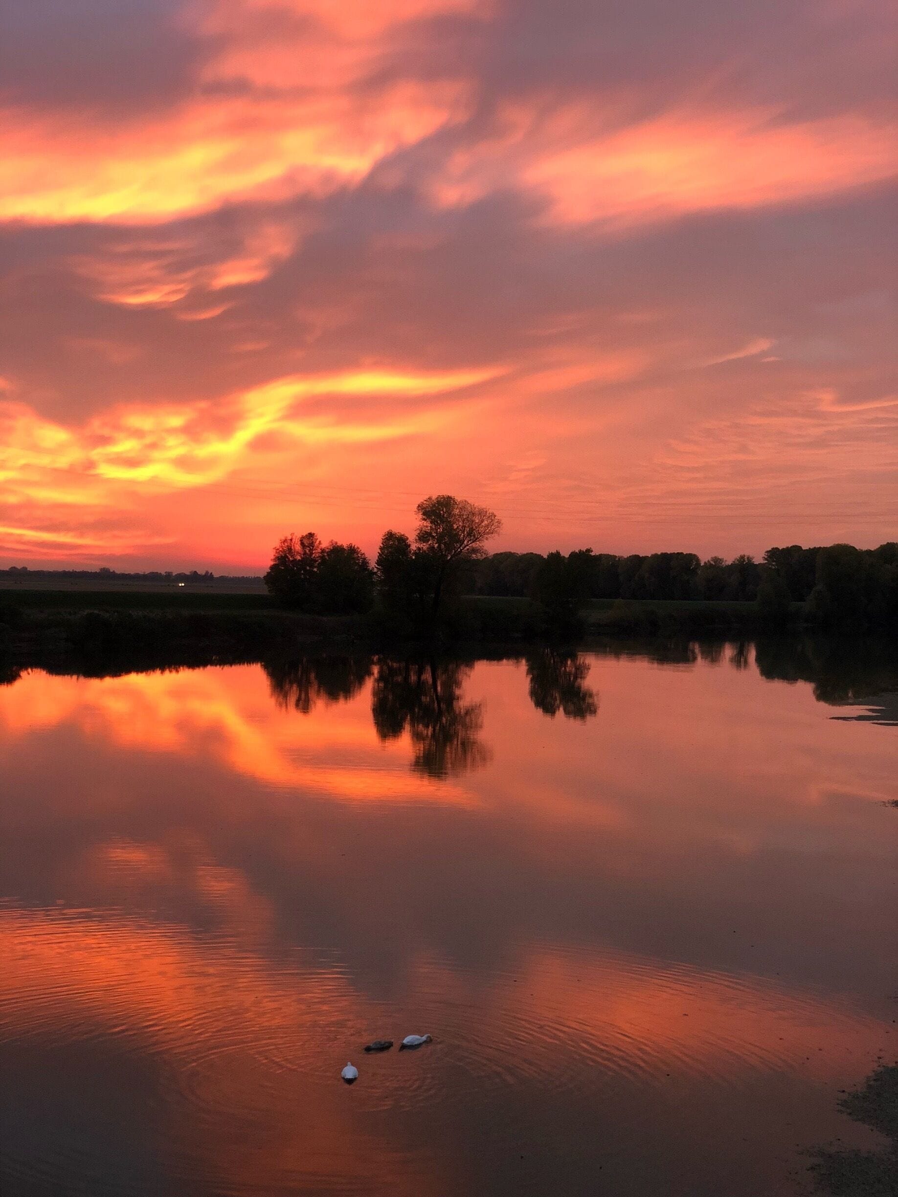 Beautiful changing colours of sunset