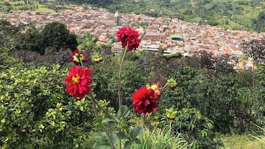 Beautiful Jardin, Colombia