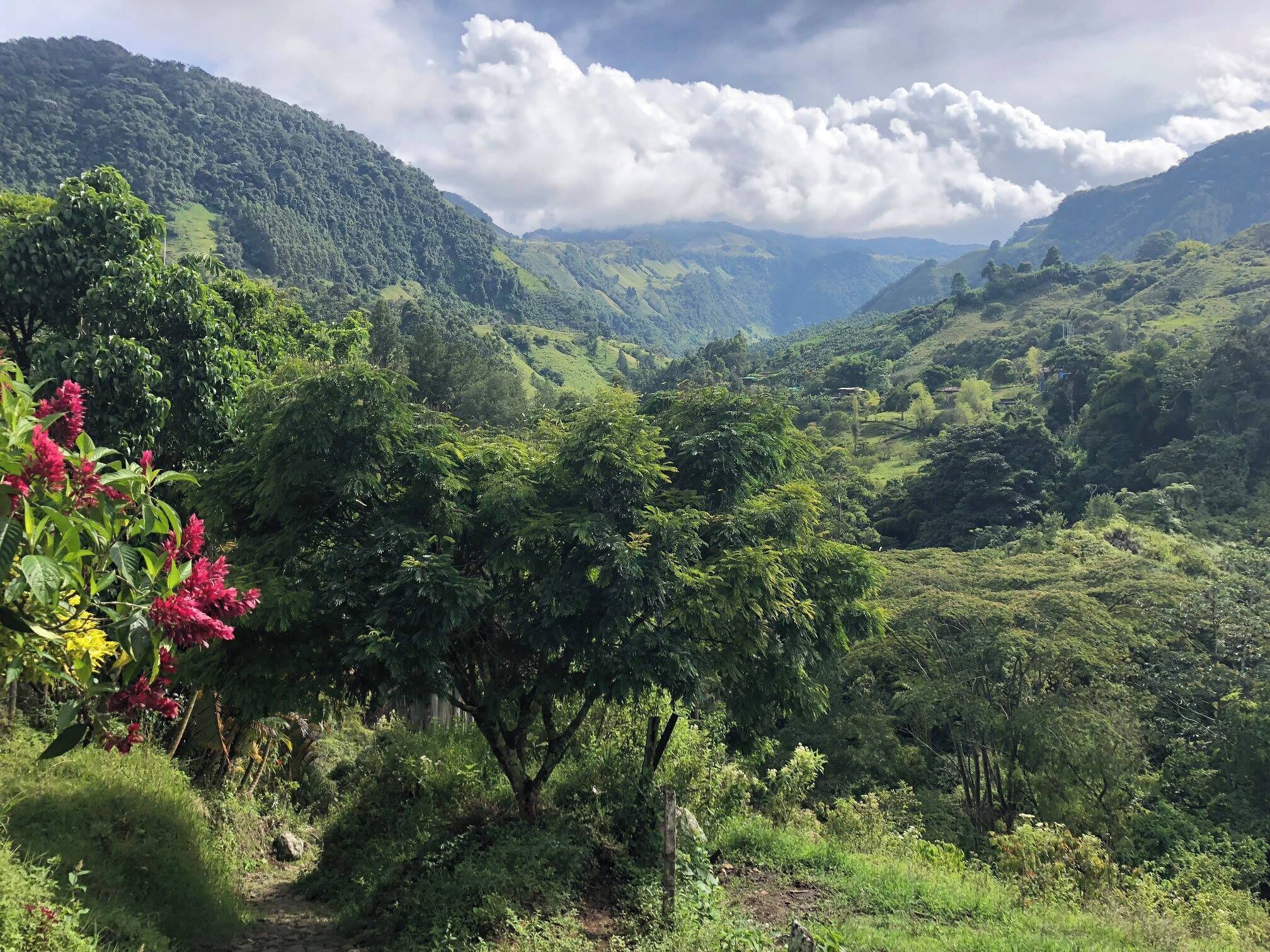 Jardin landscape; a view from the trail to Jesus statue