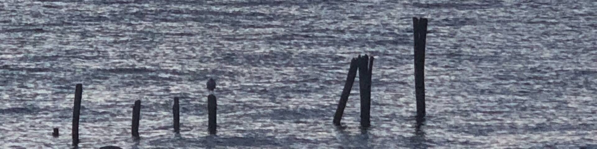 Nice sunrise view of the royal chains of volcanoes and snow cap mountains