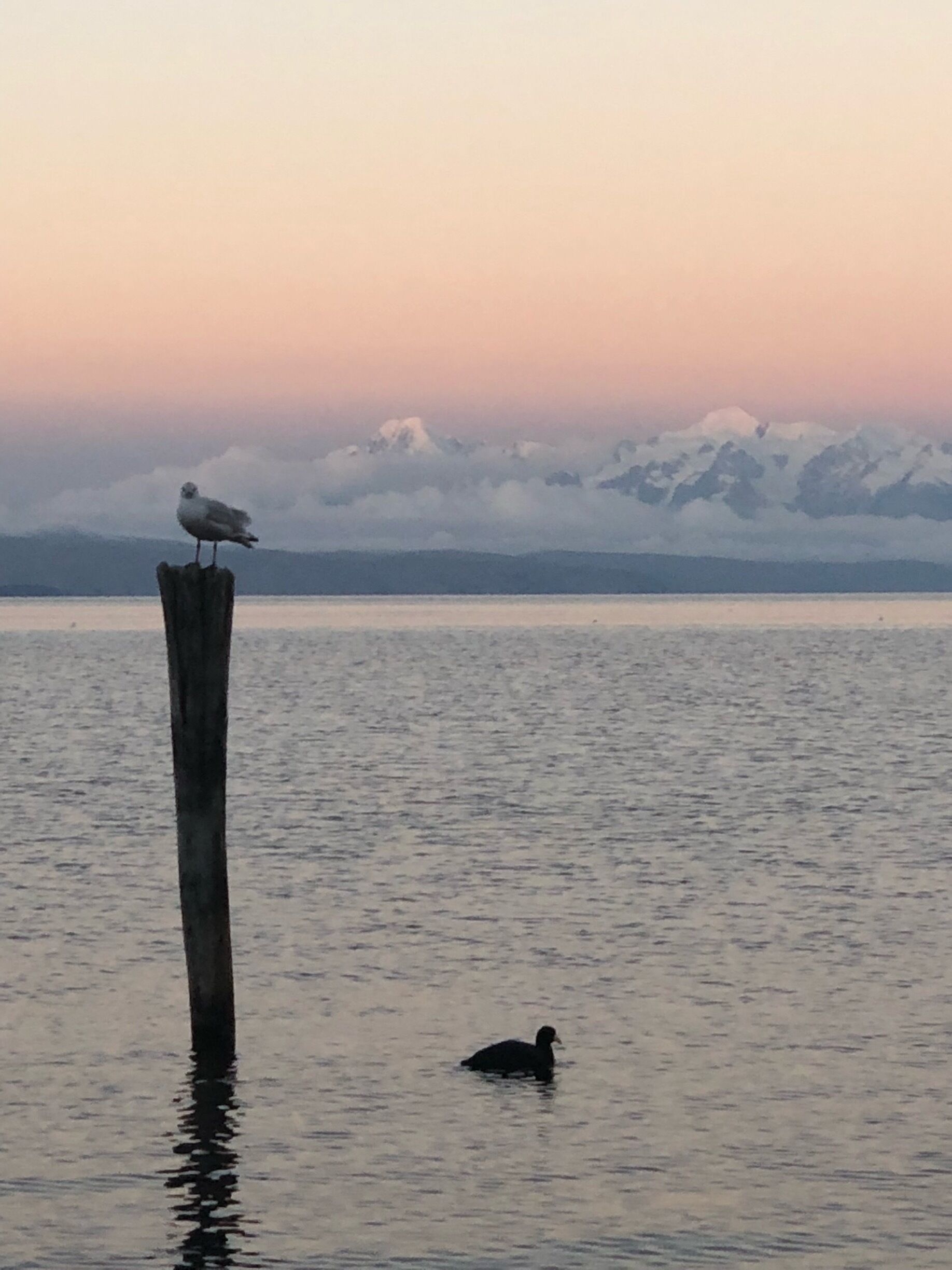 Beautiful sunset view just outside the lodge. Can clearly see the changing of colours on the snow cap mountains and volcanoes 