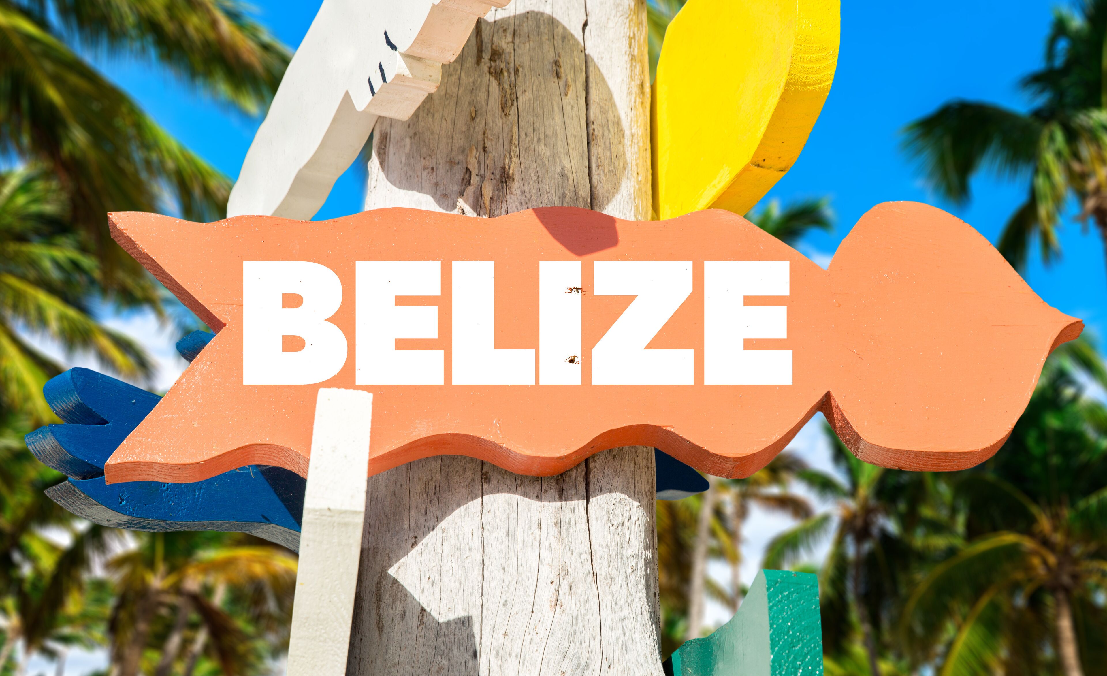 Belize welcome sign with palm trees