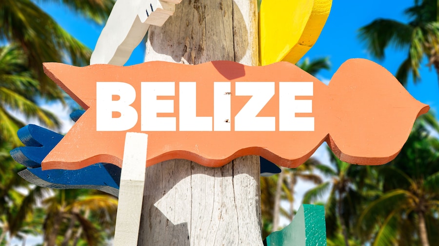 Belize welcome sign with palm trees