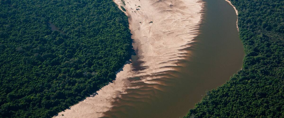An aerial view of a river winding through a dense forest.