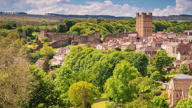 A historic town with a prominent tower, lush greenery, and surrounding hills.
