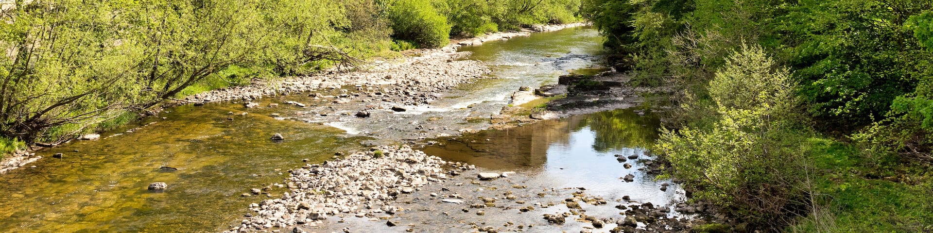 Richmond Castle, North Yorkshire, UK above the trees along the River Swale, in spring.