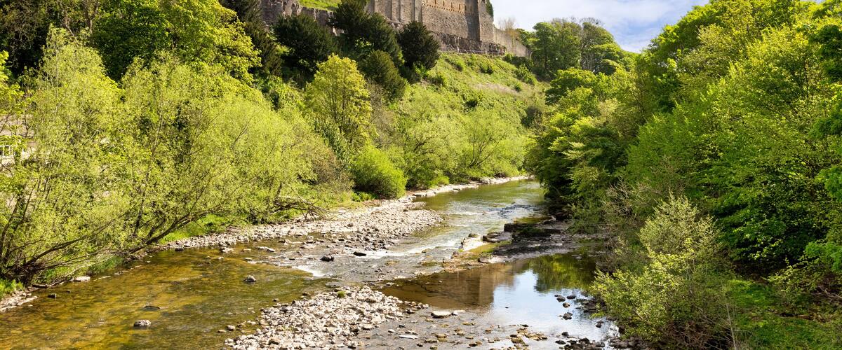 A castle on a hill overlooking a river surrounded by lush greenery.