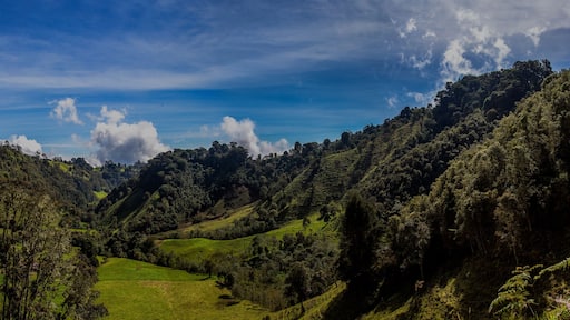 Panorámica- Nevado del Ruiz