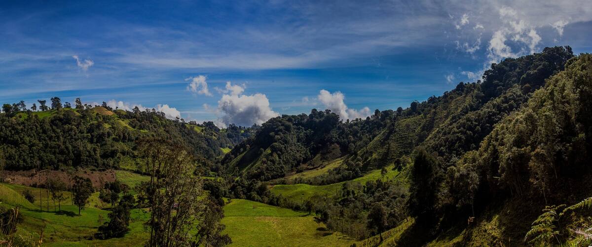 A lush green valley with rolling hills and dense forests.