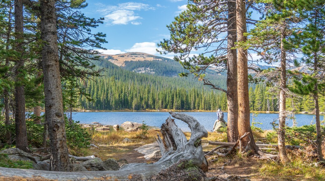 Finch Lake Trail in the Rocky Mountain National Park, USA