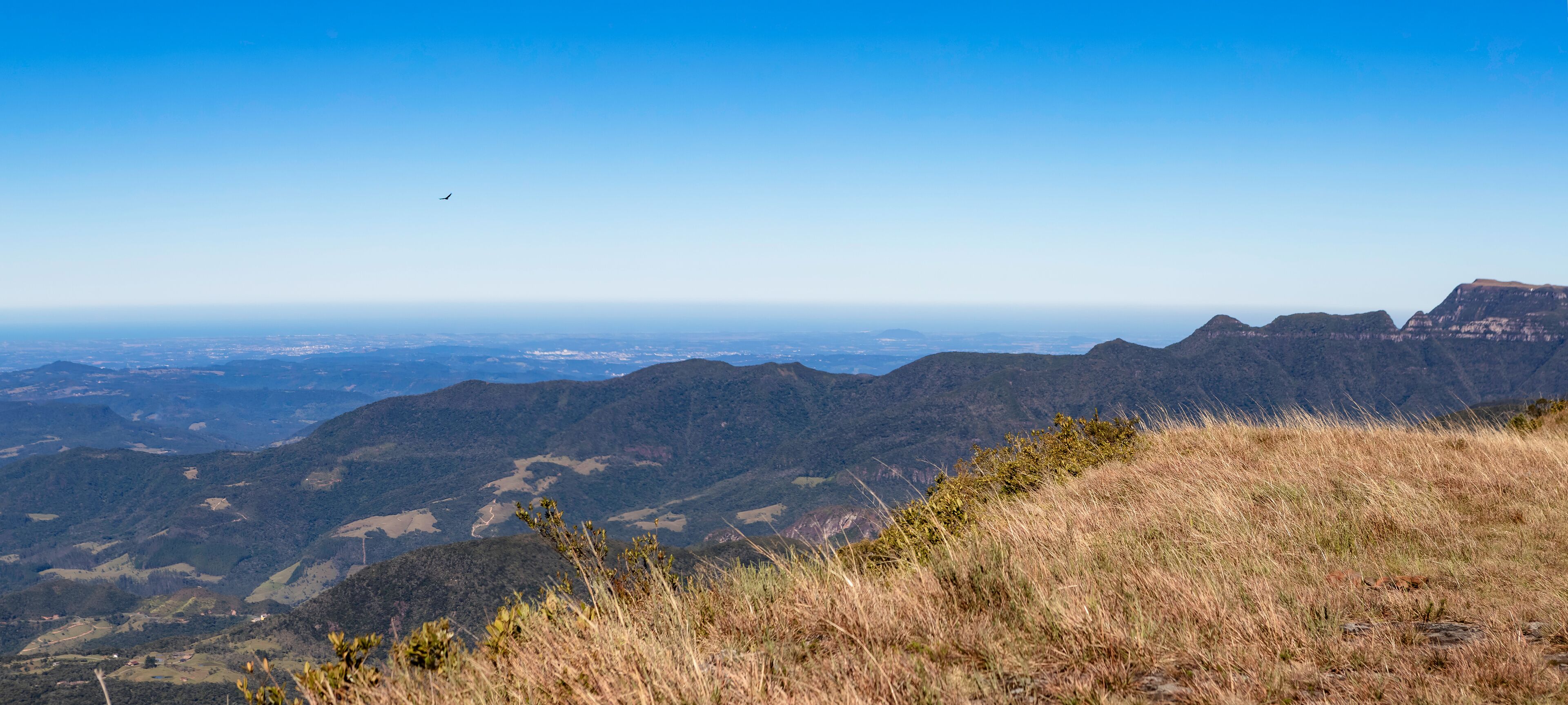 SERRA CATARINENSE.
SERRA BRASILEIRA.
SERRA DAS AMÉRICAS.
SERRA CÂNION DO FUNIL.
SERRA GAÚCHA.
SERRA DO RIO DO RASTRO.
BOM JARDIM DA SERRA
MIRANTE SERRA PARQUE
lAURO MULLER,sc.