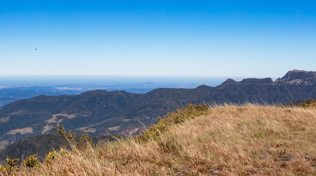 SERRA CATARINENSE.
SERRA BRASILEIRA.
SERRA DAS AMÉRICAS.
SERRA CÂNION DO FUNIL.
SERRA GAÚCHA.
SERRA DO RIO DO RASTRO.
BOM JARDIM DA SERRA
MIRANTE SERRA PARQUE
lAURO MULLER,sc.