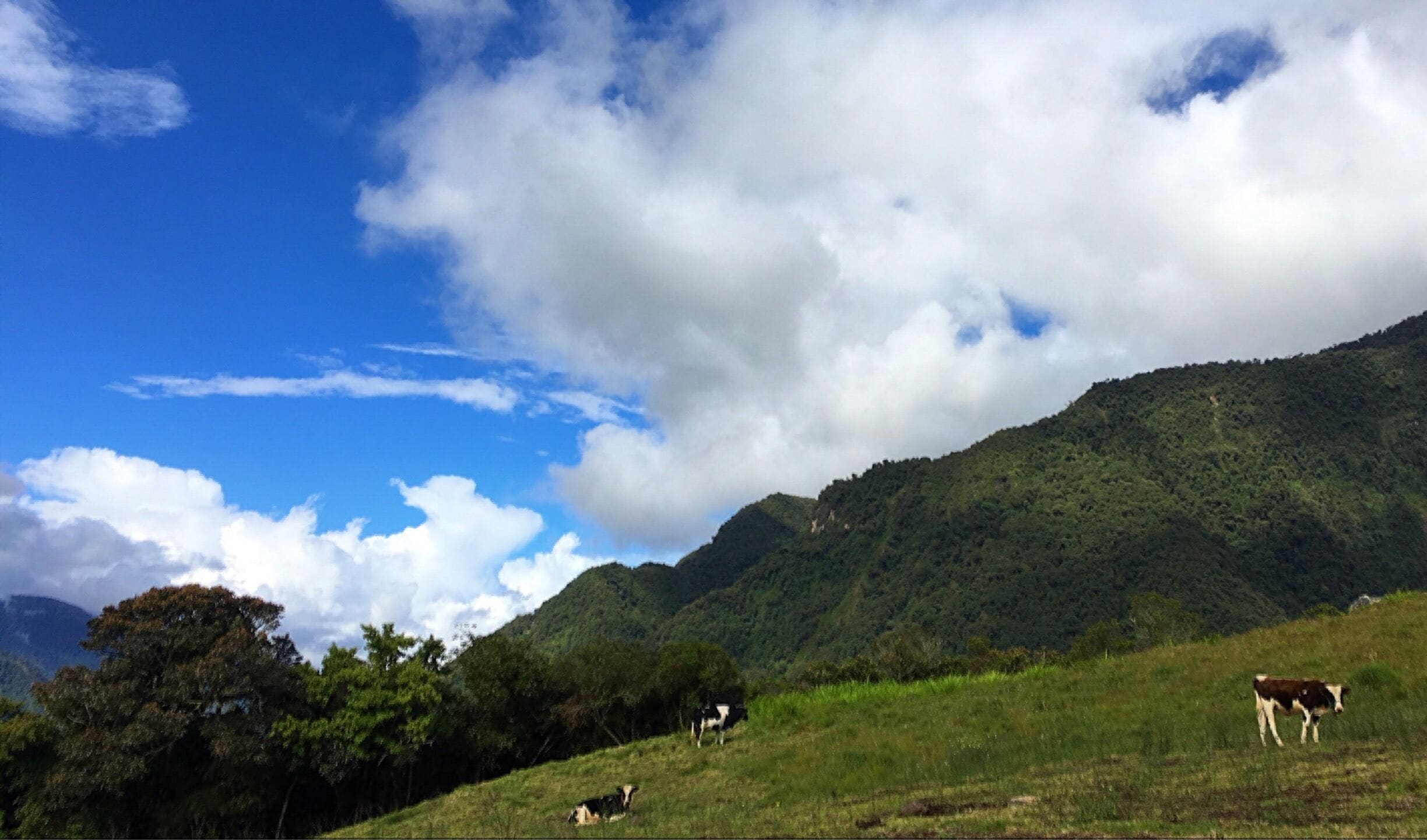 On the road from Ambato to Chimborazo you can see a wonderful landscape!