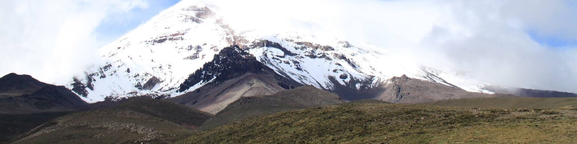 A snow-capped mountain with a clear blue sky and a grassy foreground.