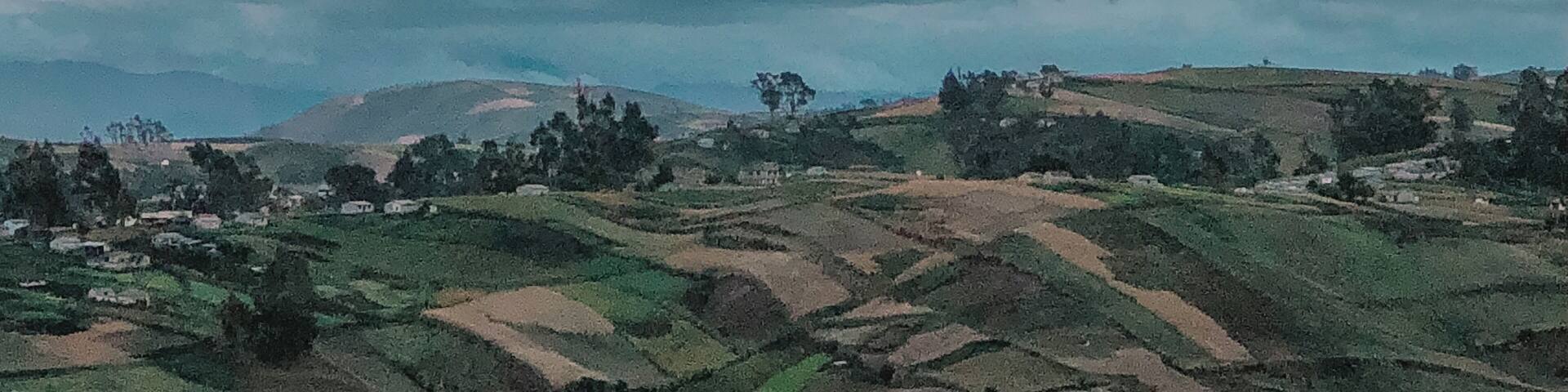 Mount Chimborazo peaking out above clouds above the indigenous fields at sunset. The quiet beauty of this place was nothing like I ever experienced. Ecuador has so much to offer! More pictures coming soon.
#trovemeber #week4
