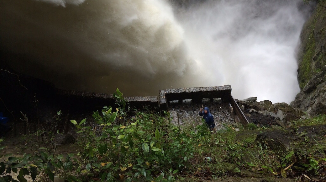 Incredible force gushing through rocks!! A must do ...