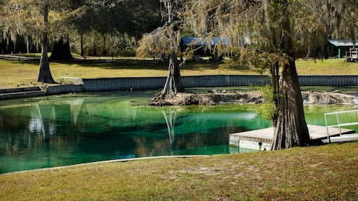 Winter Springs, Hart Springs, Trenton, Florida.