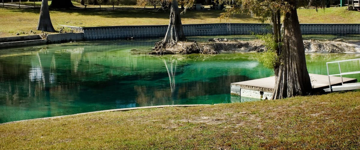A clear pond with a wooden dock, surrounded by grass and trees with Spanish moss.
