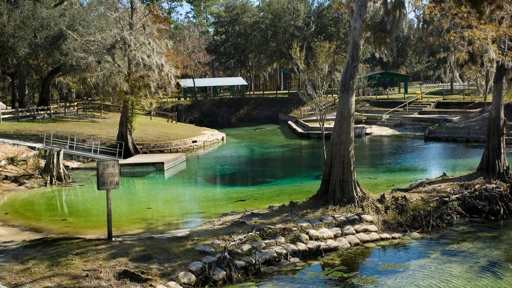 A clear pond surrounded by trees and a wooden fence.