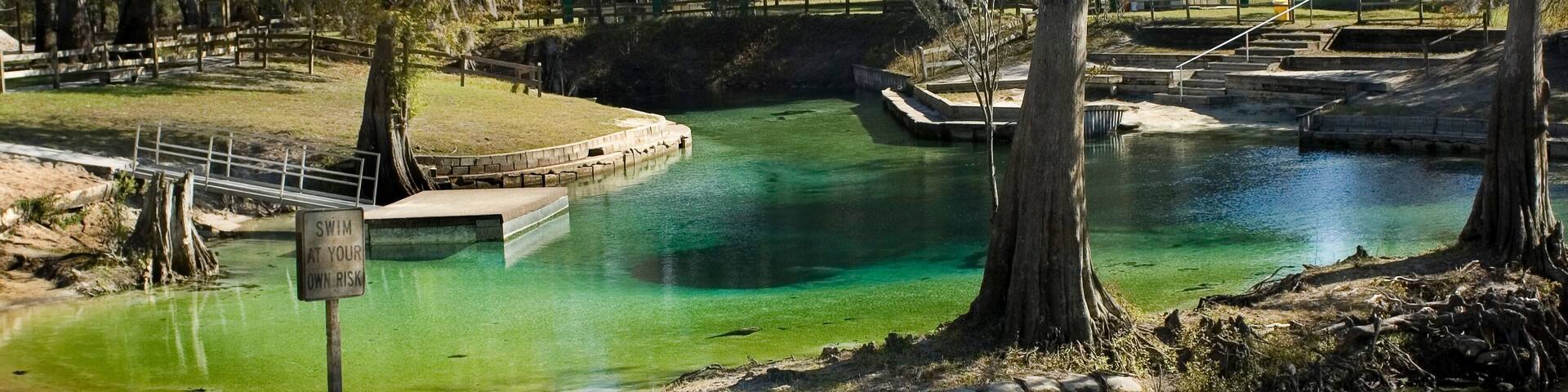 A clear pond surrounded by trees and a wooden fence.