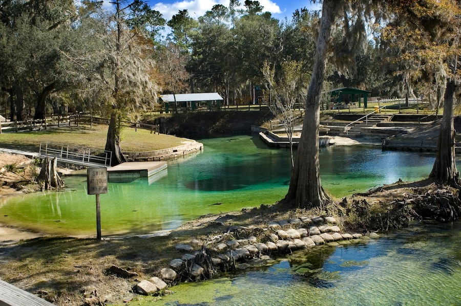 A clear pond surrounded by trees and a wooden fence.