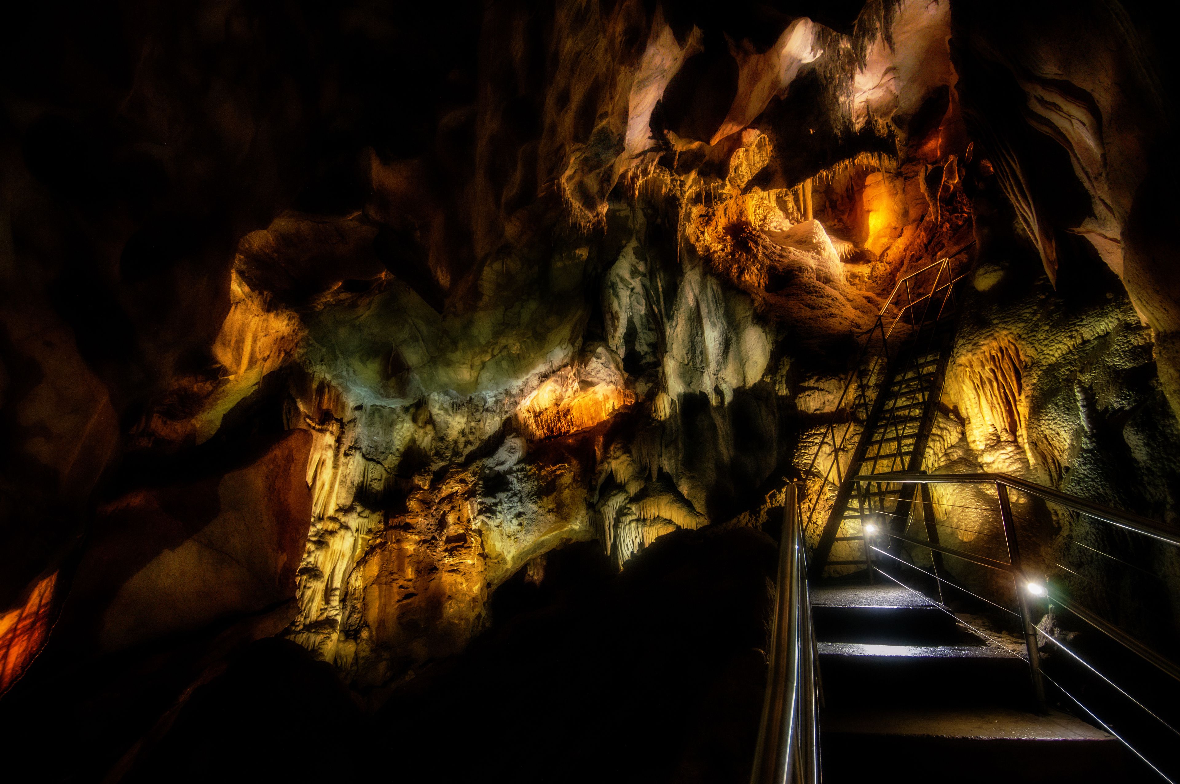 The Steep and Winding Ladders of the Chifley Cave