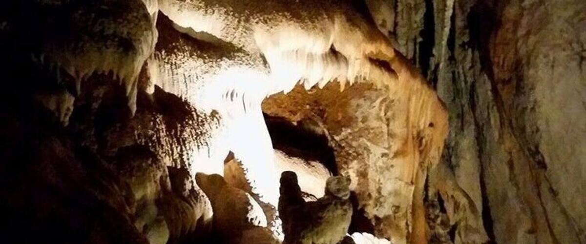 One of the spectacular formations inside the Figtree Cave at Wombeyan Caves Karst Conservation Reserve.
Although it's not as adventurous as the various nearby wild cave systems such as those at Tuglow and Bungonia, it's a top spot for camping, wildlife watching and for learning about the geology and history of these remote and magnificent caves.
The caves had been a special place to the local Gundungurra people for hundreds of generations, but there is little evidence they used the caves themselves for shelter.
Europeans first discovered Wombeyan Caves in 1828 when explorer John Oxley and pioneering grazier John Macarthur explored the areas between Berrima and Oberon looking for grazing land. They stumbled upon the massive entrance to the Figtree Cave, the Victoria Arch, at the end of a cleared box canyon.
In 1868 the area was set aside by the colonial NSW government as a reserve and was staffed by a caretaker, Mr Charles Chalker. Chalker explored the area extensively and discovered many of the dozens of caves in the Wombeyan system.
The area became very popular with tourists and geologists alike, and in 1900 a road was opened, linking Wombeyan Caves to Mittagong in the east. An account of this newly-pushed-through road is found in one of my favourite books, "Landlopers" by John Le Gay Brereton, published in 1899.
I have read newspaper letters to the editor from the 1910s where the writers bitterly whinge about the state of the Wombeyan Caves Road between the Caves and Mittagong. Over 100 years later, people are still whingeing about it haha. I call it The Road Of Doom and it's a picturesque drive which is even a little adventurous at times.
The Wombeyan Caves themselves were popular throughout the first half of the 20th Century and the Figtree Cave in the photo was opened to the public as a guided show cave in 1968 and it's been inspiring visitors ever since.