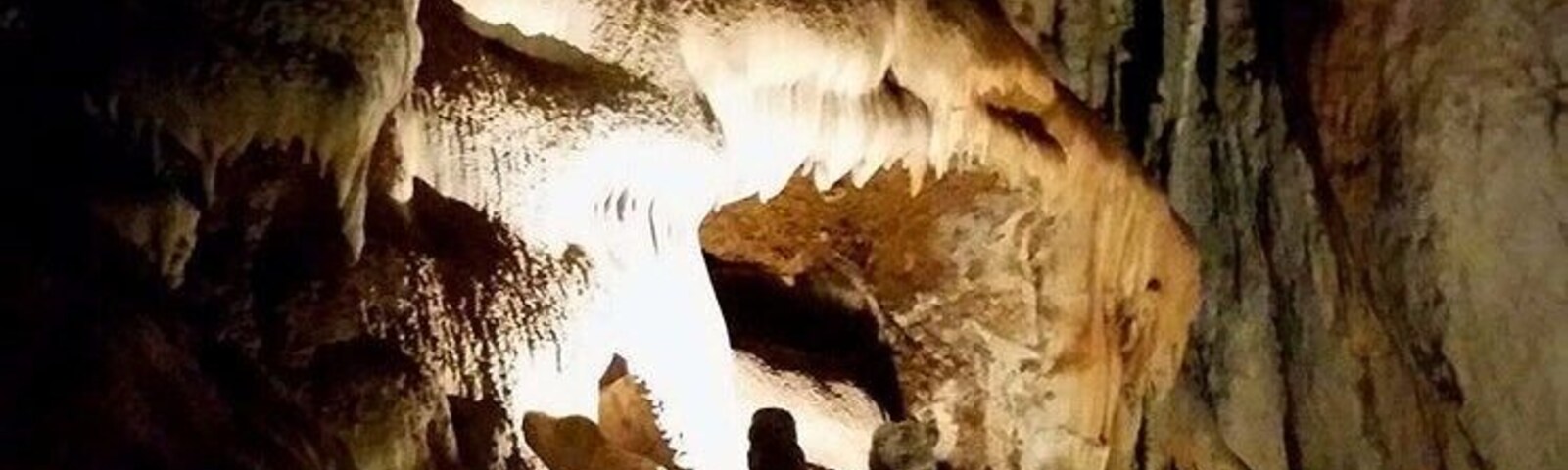 One of the spectacular formations inside the Figtree Cave at Wombeyan Caves Karst Conservation Reserve.
Although it's not as adventurous as the various nearby wild cave systems such as those at Tuglow and Bungonia, it's a top spot for camping, wildlife watching and for learning about the geology and history of these remote and magnificent caves.
The caves had been a special place to the local Gundungurra people for hundreds of generations, but there is little evidence they used the caves themselves for shelter.
Europeans first discovered Wombeyan Caves in 1828 when explorer John Oxley and pioneering grazier John Macarthur explored the areas between Berrima and Oberon looking for grazing land. They stumbled upon the massive entrance to the Figtree Cave, the Victoria Arch, at the end of a cleared box canyon.
In 1868 the area was set aside by the colonial NSW government as a reserve and was staffed by a caretaker, Mr Charles Chalker. Chalker explored the area extensively and discovered many of the dozens of caves in the Wombeyan system.
The area became very popular with tourists and geologists alike, and in 1900 a road was opened, linking Wombeyan Caves to Mittagong in the east. An account of this newly-pushed-through road is found in one of my favourite books, "Landlopers" by John Le Gay Brereton, published in 1899.
I have read newspaper letters to the editor from the 1910s where the writers bitterly whinge about the state of the Wombeyan Caves Road between the Caves and Mittagong. Over 100 years later, people are still whingeing about it haha. I call it The Road Of Doom and it's a picturesque drive which is even a little adventurous at times.
The Wombeyan Caves themselves were popular throughout the first half of the 20th Century and the Figtree Cave in the photo was opened to the public as a guided show cave in 1968 and it's been inspiring visitors ever since.