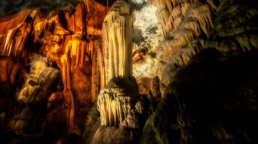 Lucinda Column Stalagmite in Chifley Cave