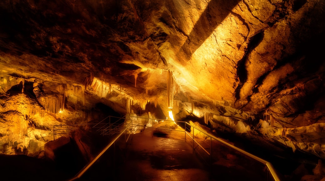 Broken Column in Lucas Cave
