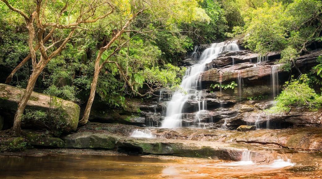 Somersby Falls is a beautiful waterfall located only one hour drive North of Sydney, along Floods Creek in Brisbane Water National Park, NSW, Australia., Shutterstock ID 614410094, Purchase Order: -