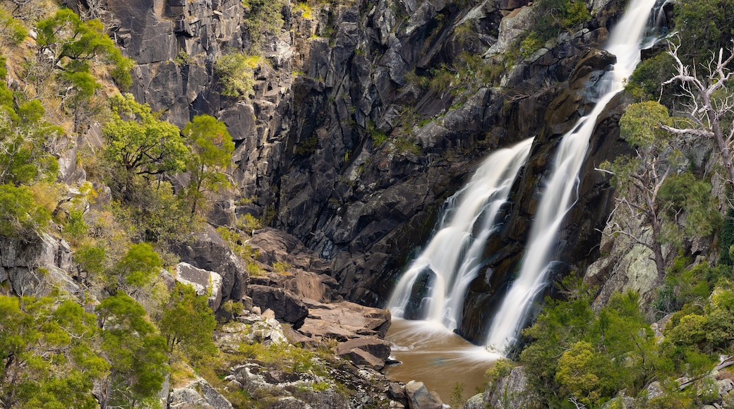 Hillgrove showing a cascade and a gorge or canyon