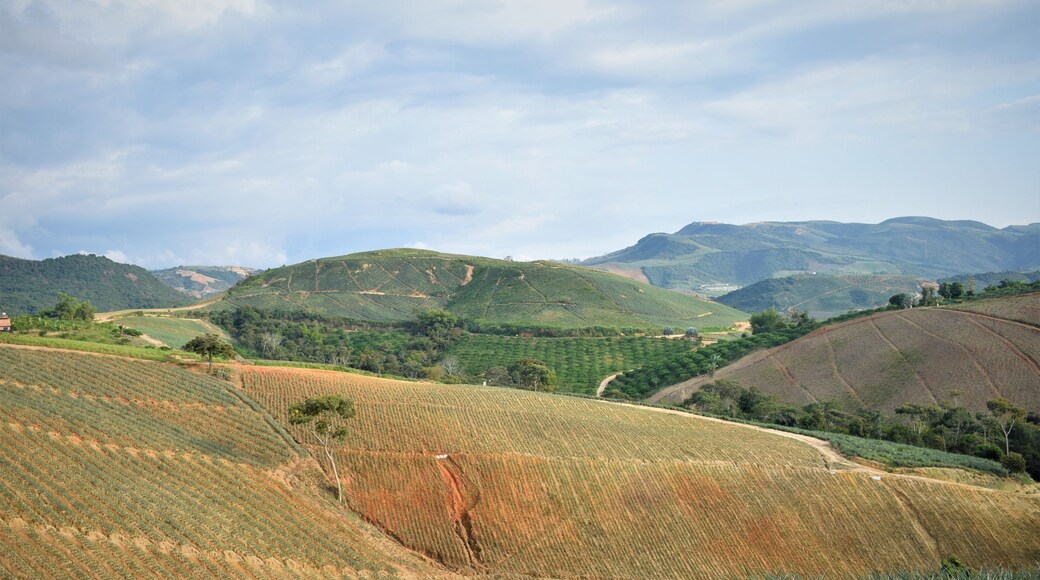 Lebrija - Santander - Colombia - 1