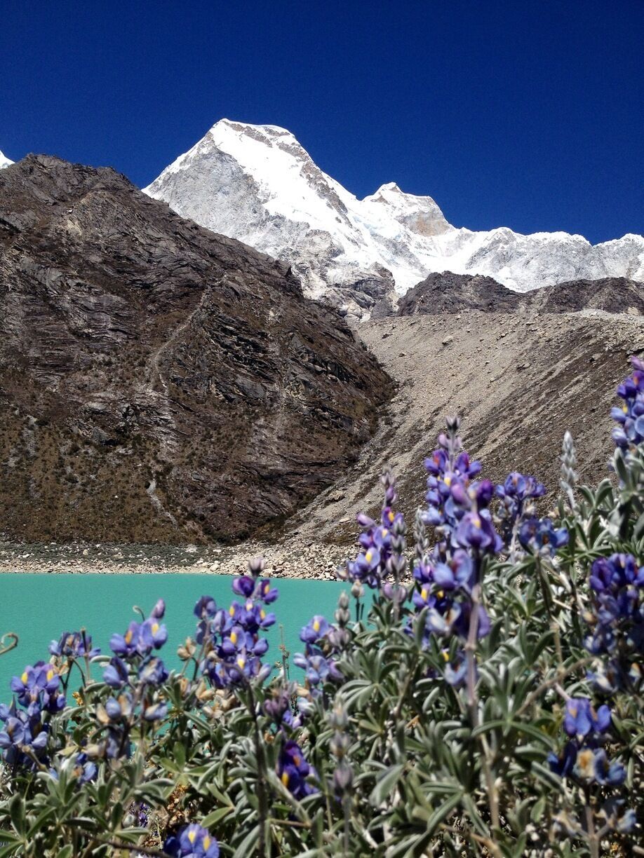A great hike to acclimate to the high altitude. It's absolutely stunning and because it's less touristy than Laguna 69 and Churup, you can really feel like you're there by yourself. You can go via public transportation, a tour company from Huaraz, or Ponys Expeditions in nearby Caraz. 