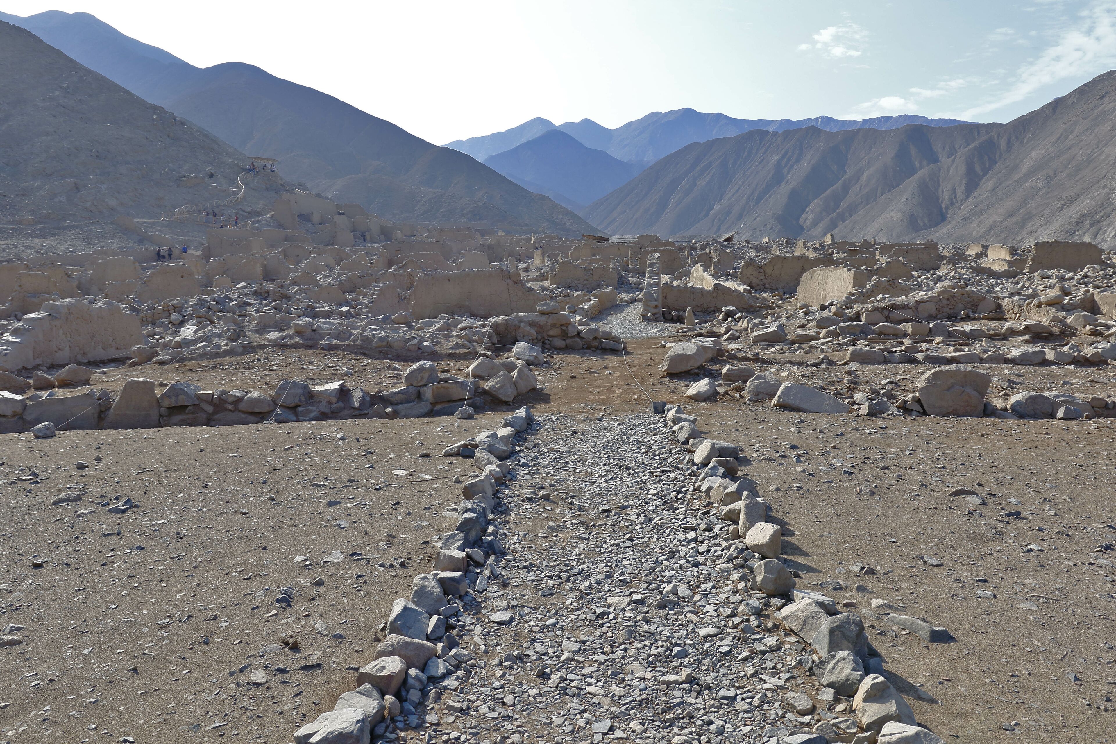 シエネギージャ