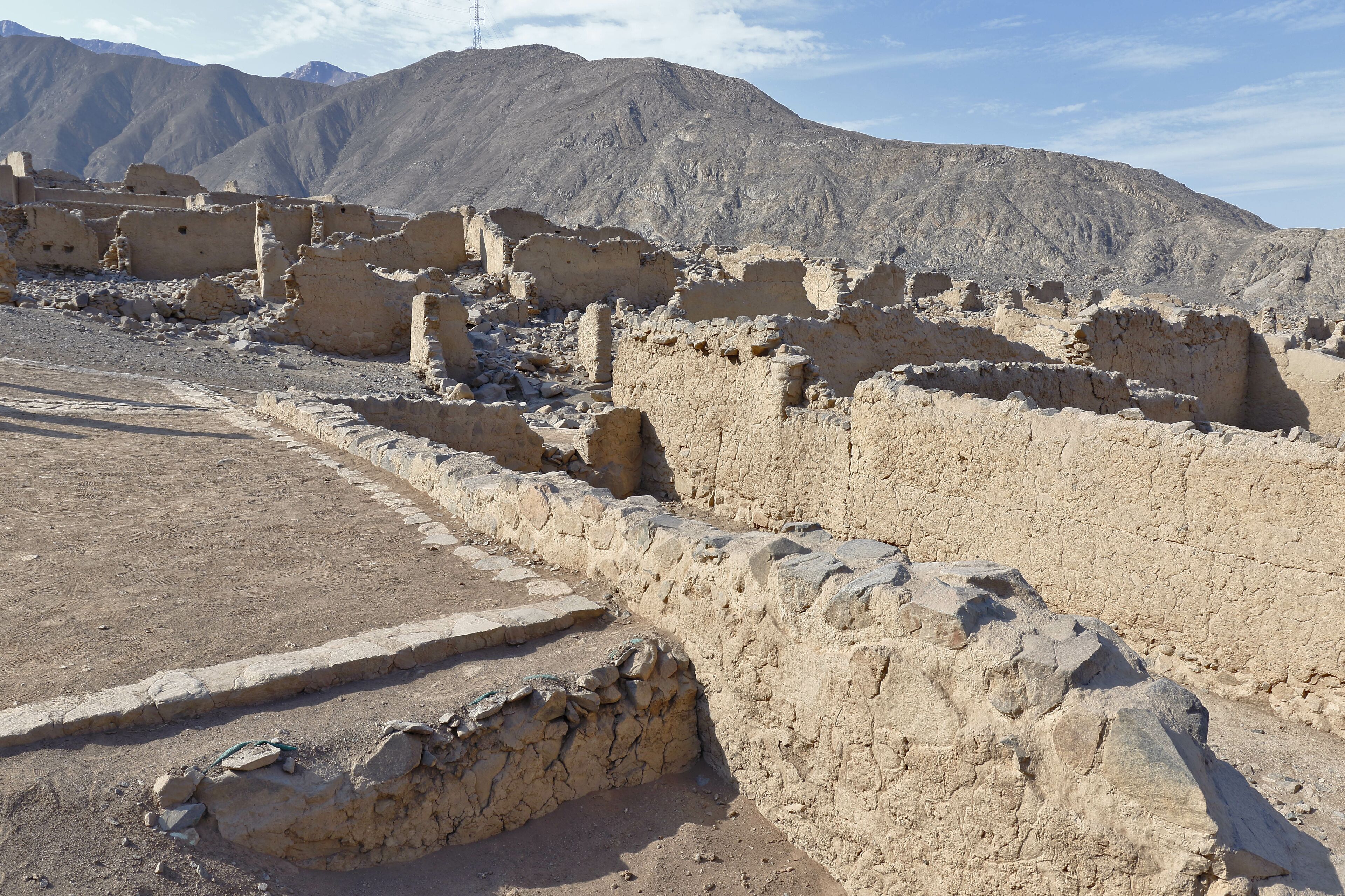 シエネギージャ