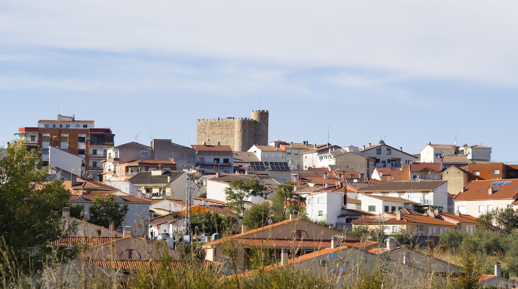 view of the village of san martin de valdeiglesias with the castle of la Coracera