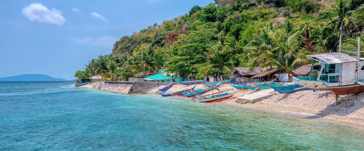 A beach with boats, palm trees, and a mountain in the background.