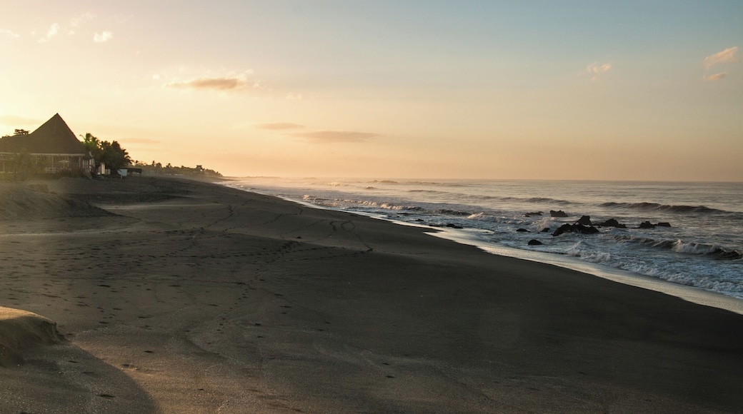 Being only a 30 minute bus ride from downtown León, it's hard to imagine a beach this beautiful being so deserted.
True, being up for sunrise certainly helps, but even throughout the day the beaches of Las Peñitas are for the most part deserted.
Just be sure to check with the locals before diving into the water; while some stretches are perfect for swimming, others are a little rougher and can be dangerous for the unprepared.
#Nicaragua #Leon #LasPenitas #Beach