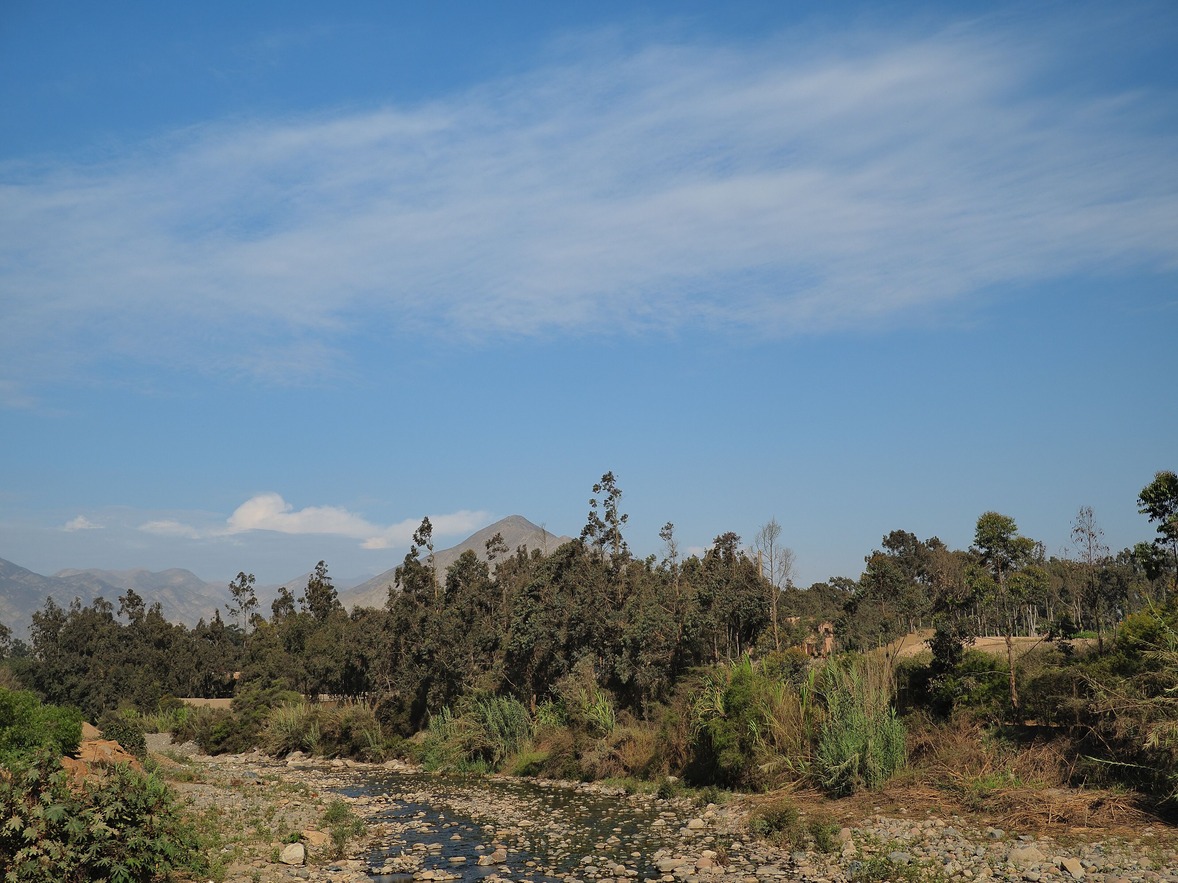 Un río con rocas, rodeado de densa vegetación y árboles, con montañas al fondo.