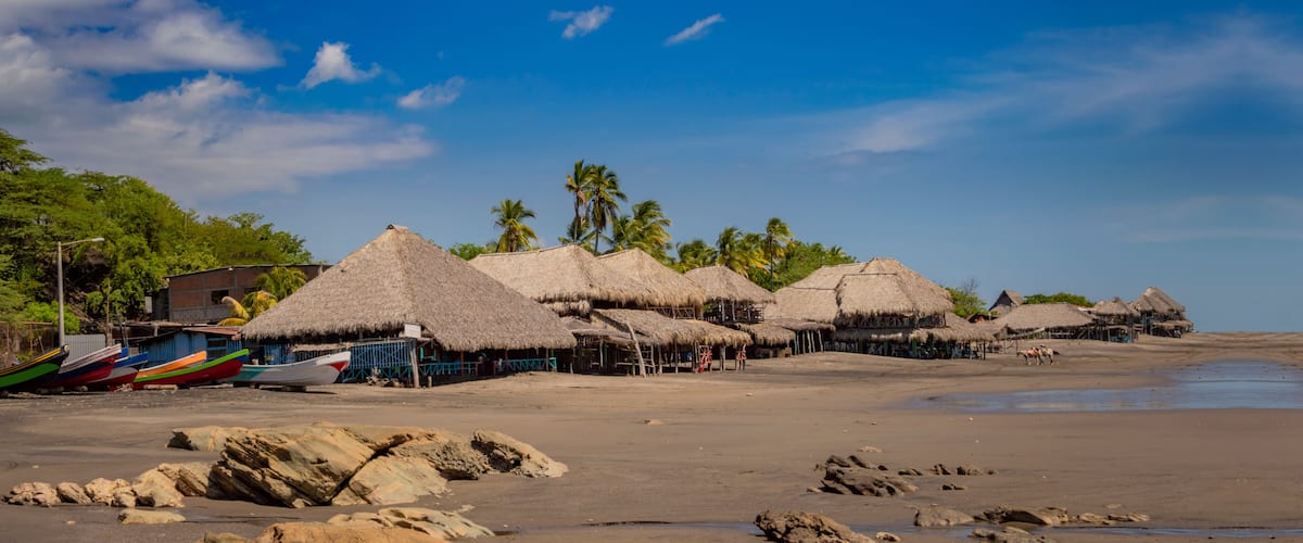 A beach with thatched-roof huts and palm trees.